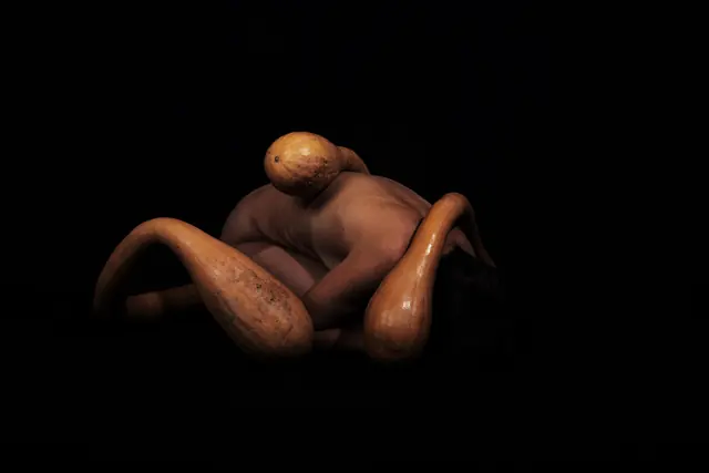 Cucurbit 3, photograph by Elena Rivautella (Cucurbits)