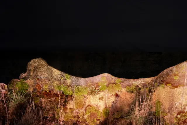 Vegetal Skin 2, photograph by Elena Rivautella (Vegetal Skin)