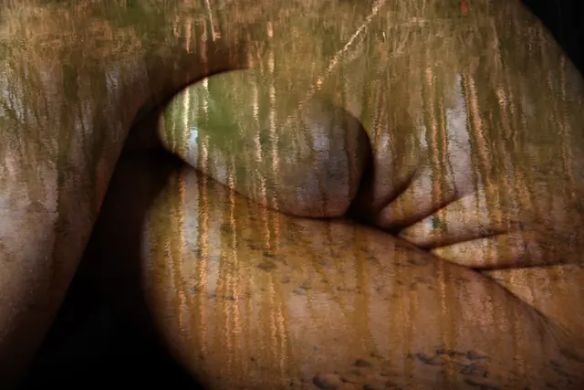 Vegetal Skin 3, photograph by Elena Rivautella (Vegetal Skin)