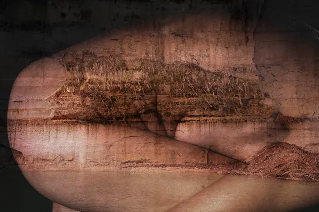 Vegetal Skin 6, photograph by Elena Rivautella (Vegetal Skin)