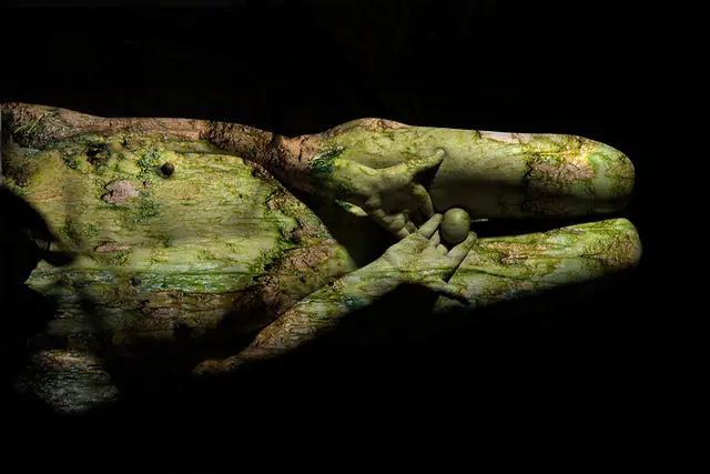 Vegetal Skin 7, photograph by Elena Rivautella (Vegetal Skin)