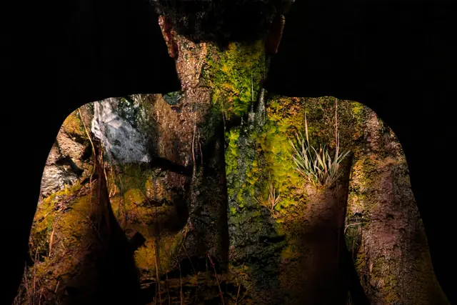 Vegetal Skin 8, photograph by Elena Rivautella (Vegetal Skin)
