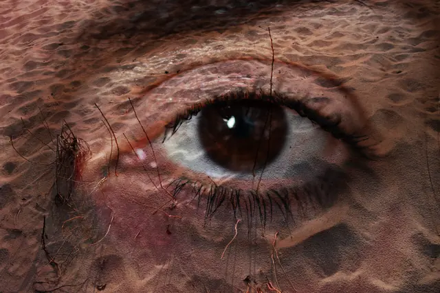 Vegetal Skin 9, photograph by Elena Rivautella (Vegetal Skin)