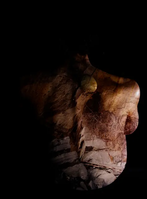 Vegetal Skin 11, photograph by Elena Rivautella (Vegetal Skin)