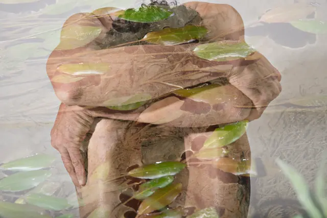 Vegetal Skin 12, photograph by Elena Rivautella (Vegetal Skin)