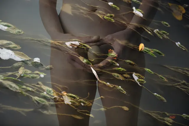 Vegetal Skin 13, photograph by Elena Rivautella (Vegetal Skin)