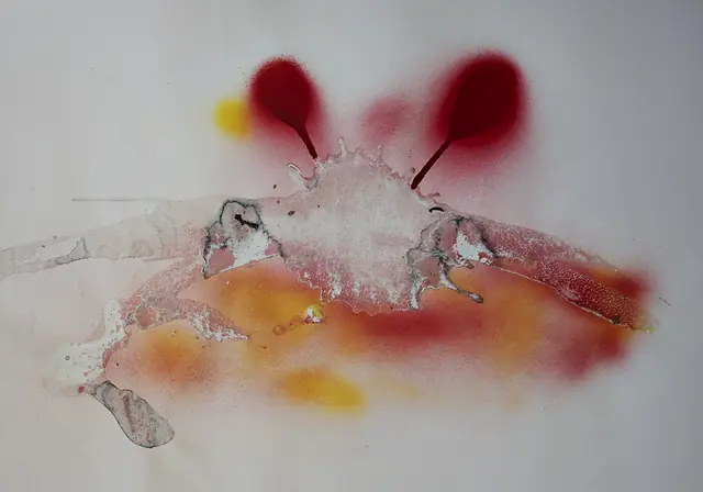 Granchio, artwork by Elena Rivautella (Liquid period · liquid colours)