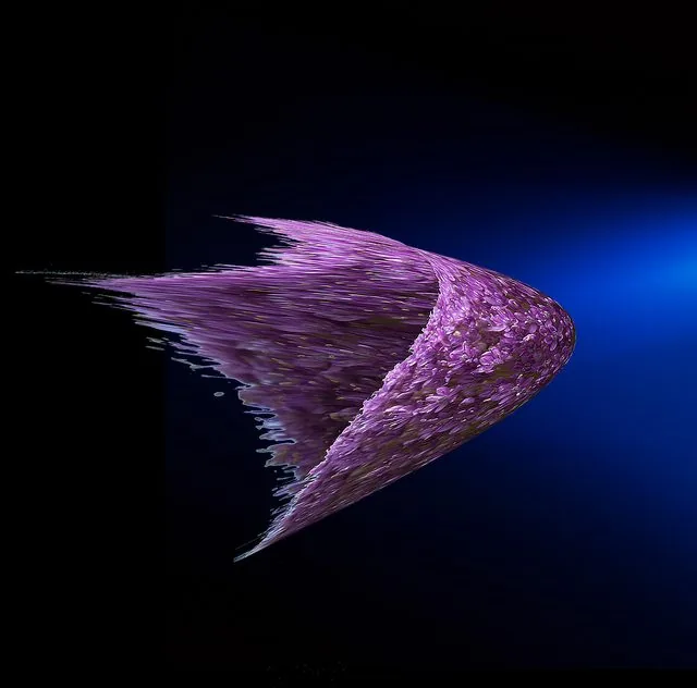 Astronave, photograph by Elena Rivautella (Vuoto fitto · the book)